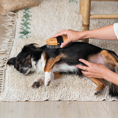 Brosse en fibre naturel