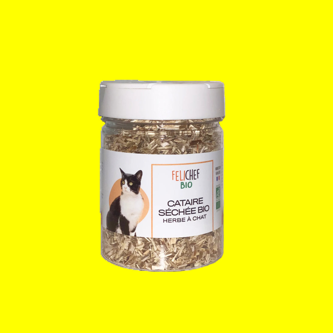 Felichef - Herbe à Chat Bio (Cataire Séchée)