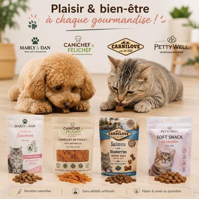 Pourquoi bien choisir les friandises pour son chien ?