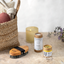 Brosse en fibre naturel