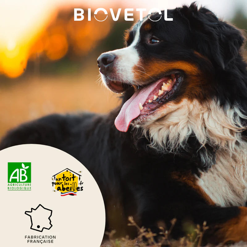 Biovetol - Comprimés Bio Bien-être Intestinal pour Grand Chien