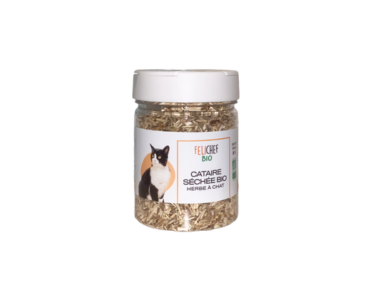 Felichef - Herbe à Chat Bio (Cataire Séchée)