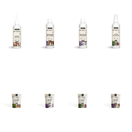 Pack shampooing, lotion & recharge