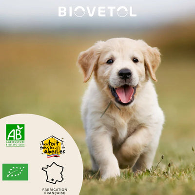 Biovetol - Vermifuge Bio en Poudre pour Petit Chien & Chiot