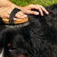 Brosse en fibre naturel