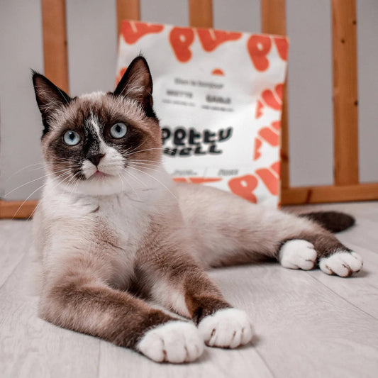 Carnilove - Friandises Sans Céréales à la Sardine pour Chat