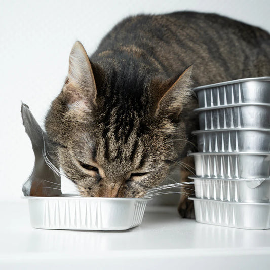 Carnilove - Friandises Sans Céréales au Poulet pour Chat